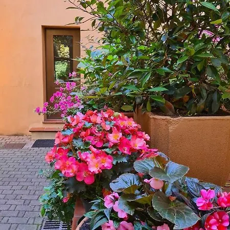 La Magnolia فندق مبيت وإفطار *