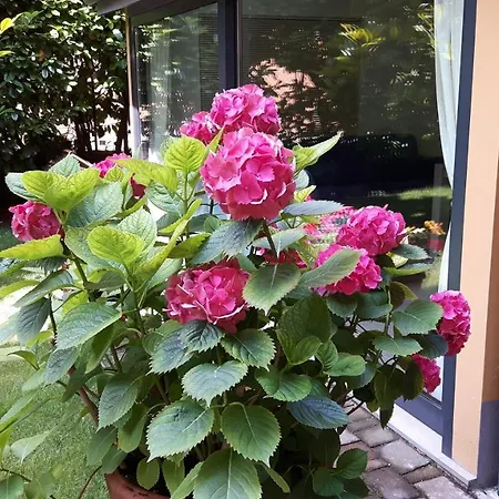 La Magnolia فندق مبيت وإفطار