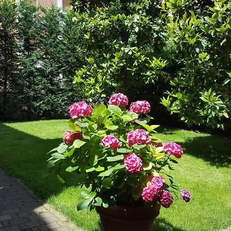 La Magnolia فندق مبيت وإفطار بولونيا